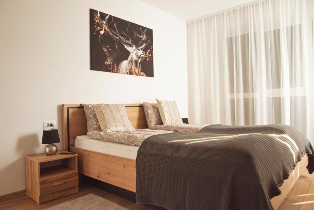5 Dream Apartment 5 Cu Parcare Privata 拉迪亚 外观 照片