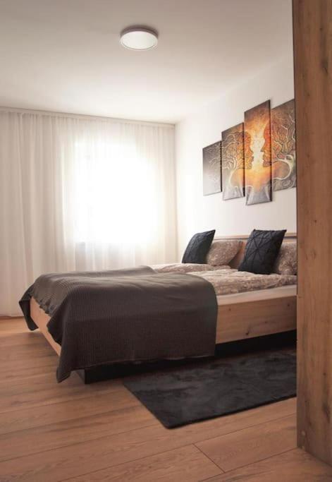 5 Dream Apartment 5 Cu Parcare Privata 拉迪亚 外观 照片