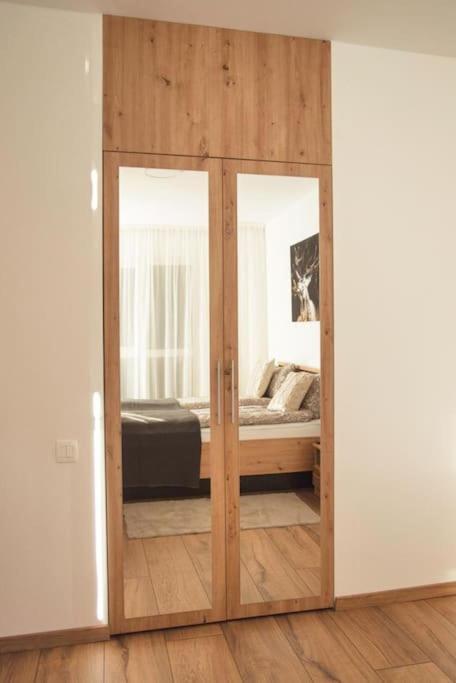 5 Dream Apartment 5 Cu Parcare Privata 拉迪亚 外观 照片