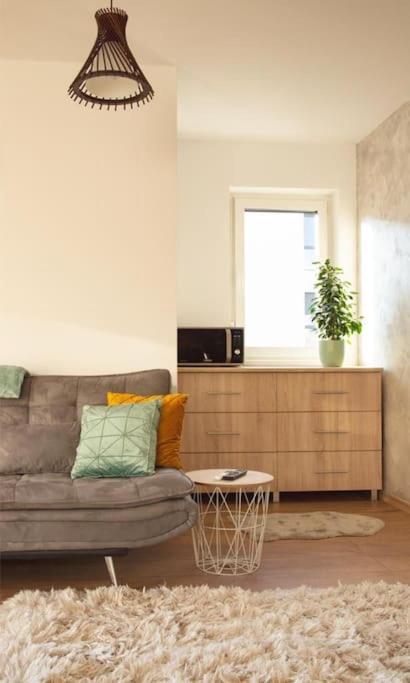 5 Dream Apartment 5 Cu Parcare Privata 拉迪亚 外观 照片