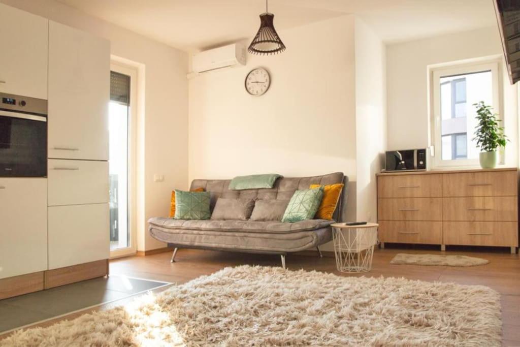 5 Dream Apartment 5 Cu Parcare Privata 拉迪亚 外观 照片